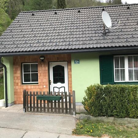 Ferienhaus Stolz Sankt Peter am Kammersberg المظهر الخارجي الصورة