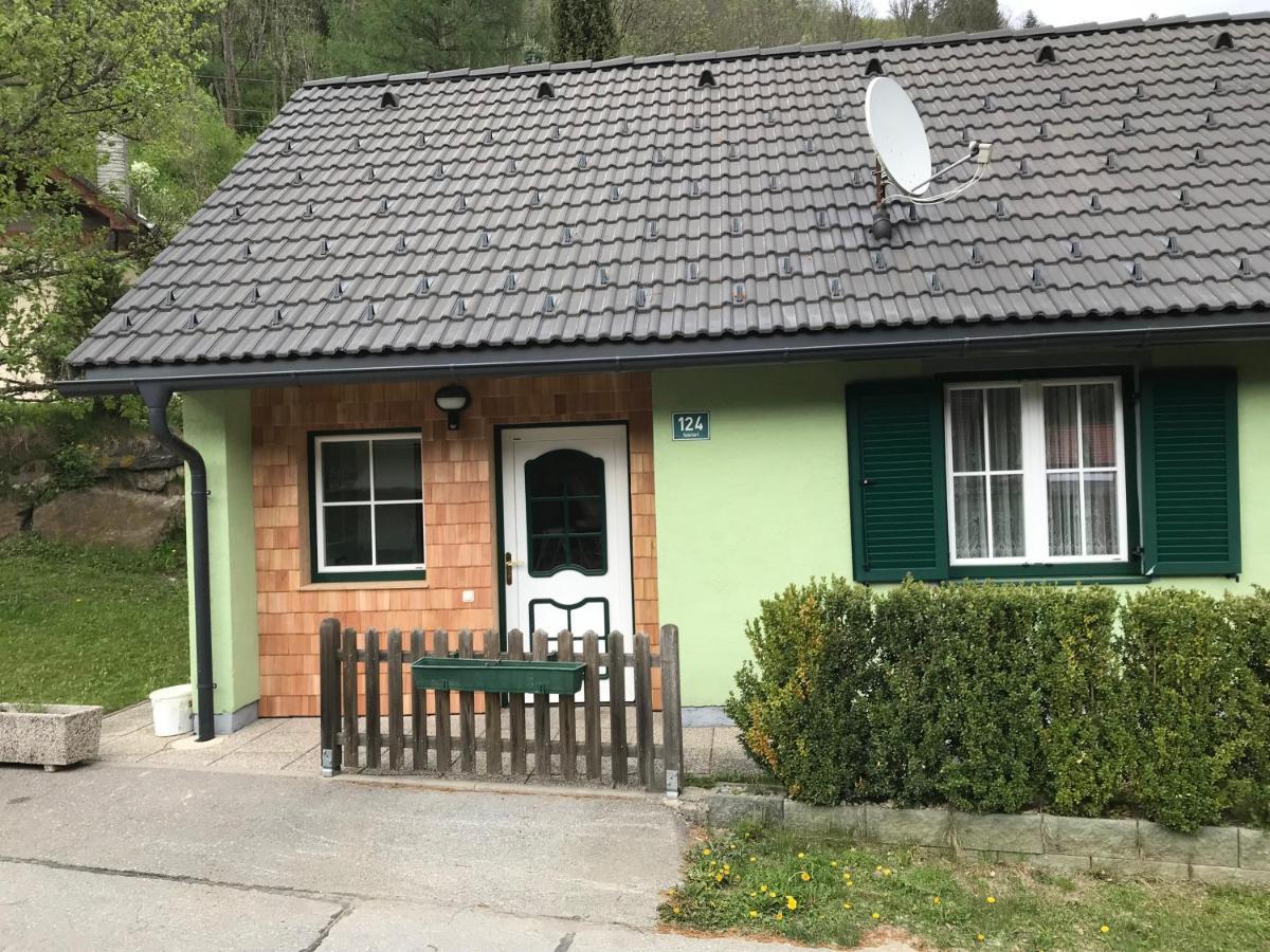 Ferienhaus Stolz Sankt Peter am Kammersberg المظهر الخارجي الصورة